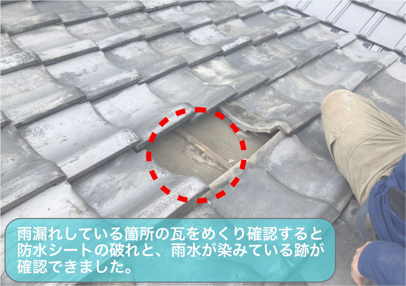雨漏れによる瓦差し替え及び玄関屋根瓦棒塗装工事 広島市東区温品｜や 